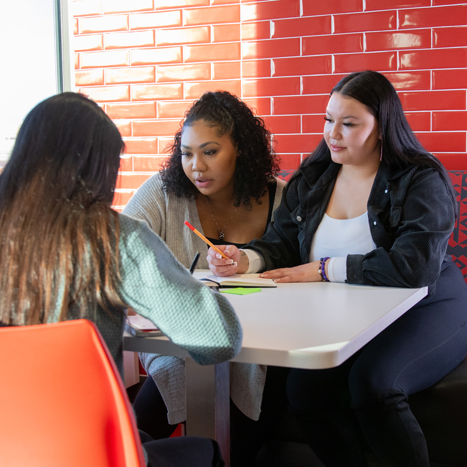 A group of female students studying together